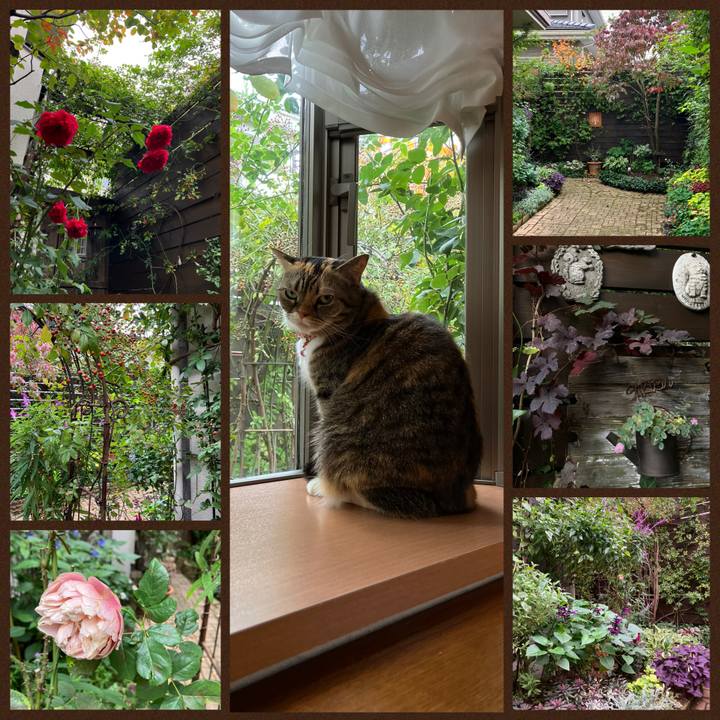 828fcbac 9295 4b59 a18d 5c587e196b24 1763005247939