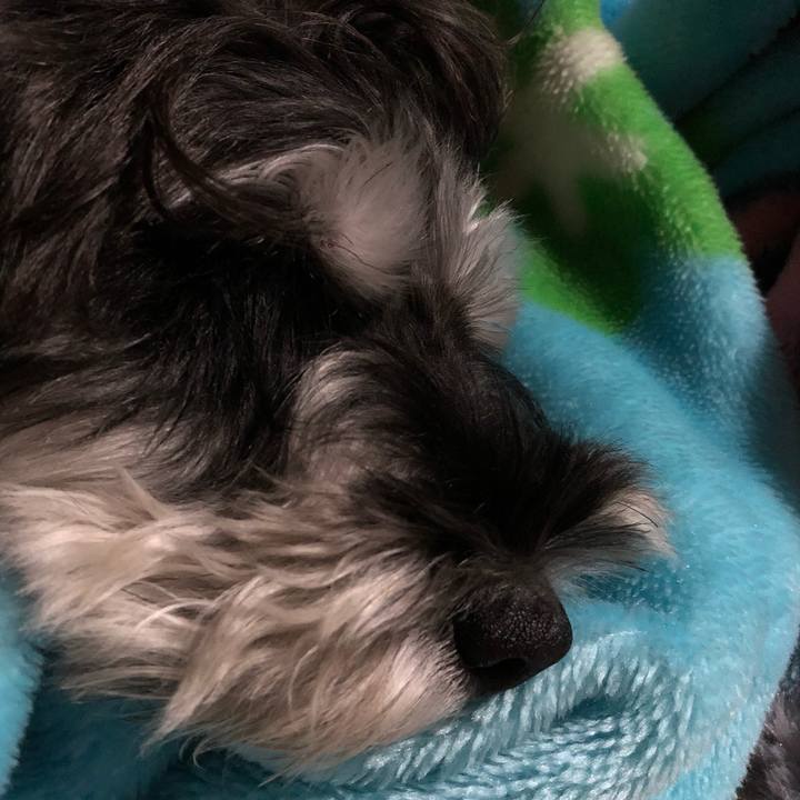 828fffa5 9b8d 4230 83d9 a606b33e5e67 1539517348411