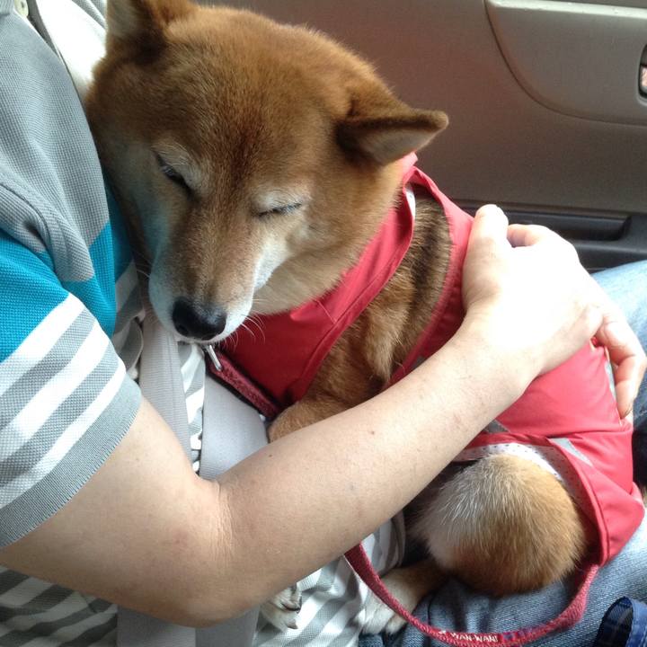 82900320 571a 4519 9e44 8f6e300eaf1c 1528603115142