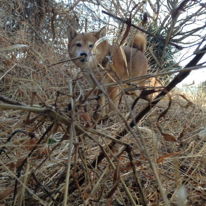 8290496d 7c76 477f a9b5 8b379b9d0e0f 1548732284706