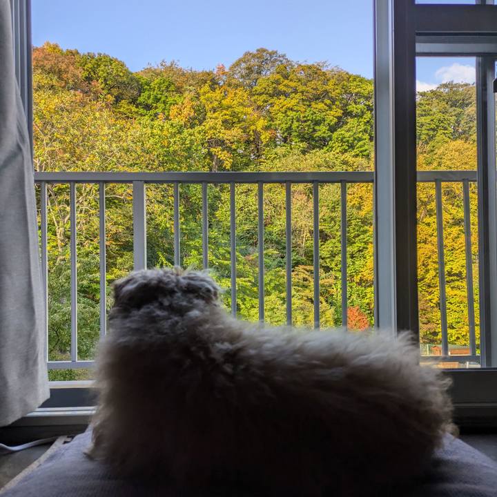 829098af 8b79 4733 876a 5687adf87e91 1729030691067