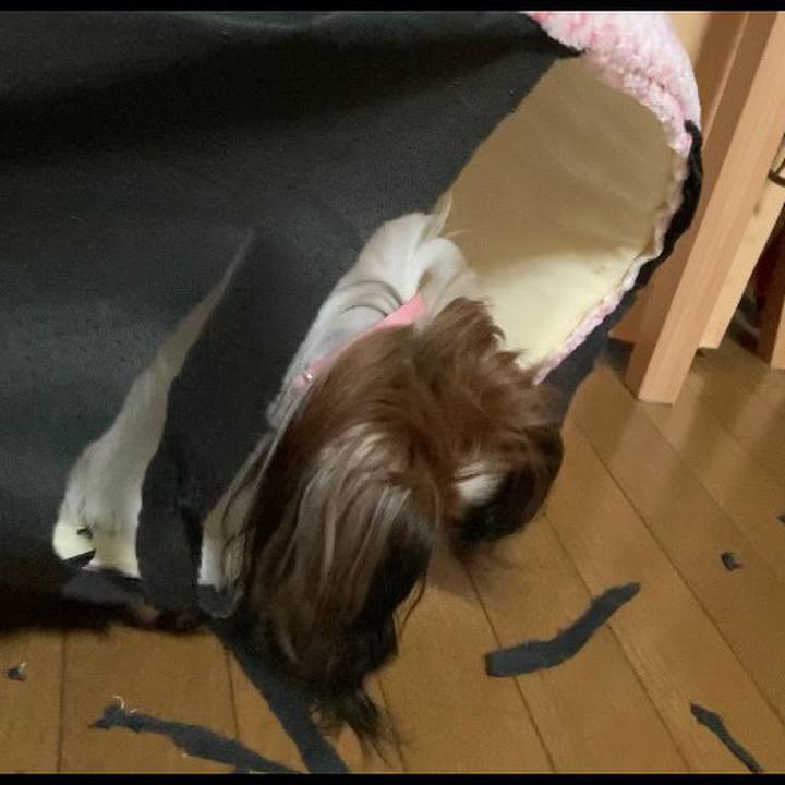 8290a273 19c6 4e37 939e a857a654cfa7 1632723903682