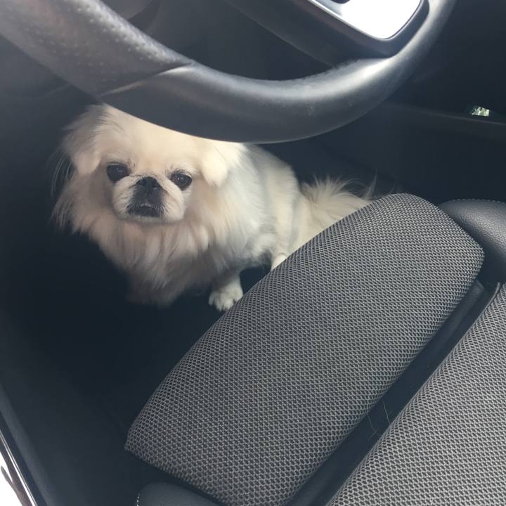 8290d071 262b 48be 9666 504a365b537a 1510463228013