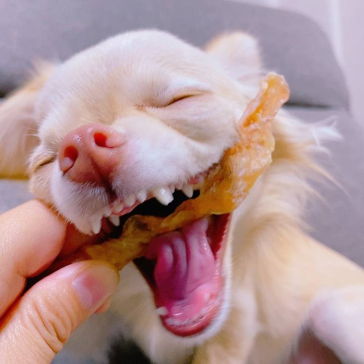 8291164e 6e3a 4b99 99f6 b8a87d7483f5 1620894857057