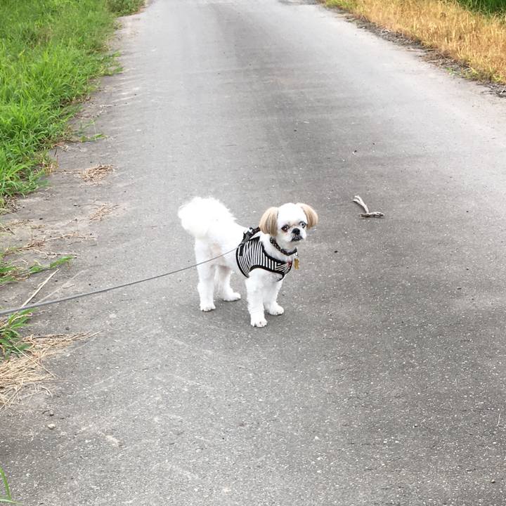 8291165d 5a26 4394 972c 49ffbdffdd01 1596926774142