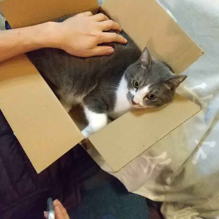 82914839 e809 487f b295 65d6052c18d2 1639745660685