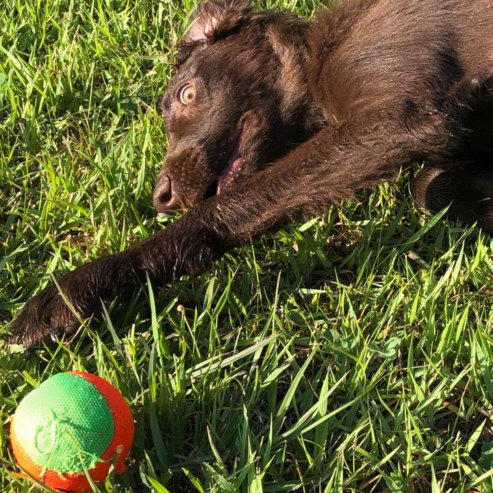 82915433 fdcc 43d0 957d 90e761ae1f9b 1559624722854