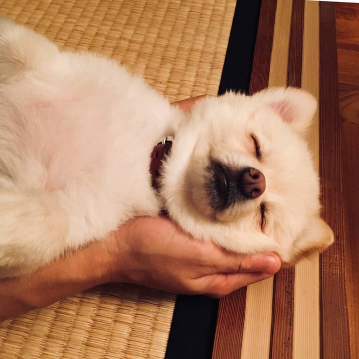 829165c4 d740 4b7a 8fd5 ea318b90cec3 1535200593495