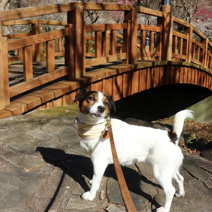 829188ee 22da 4c46 8adc 5451ccfdd81a 1613038729779