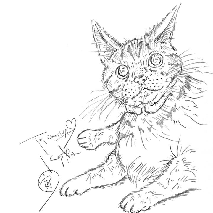 8291ad64 b76a 40de ae30 c97f6916ded4 1621896727318