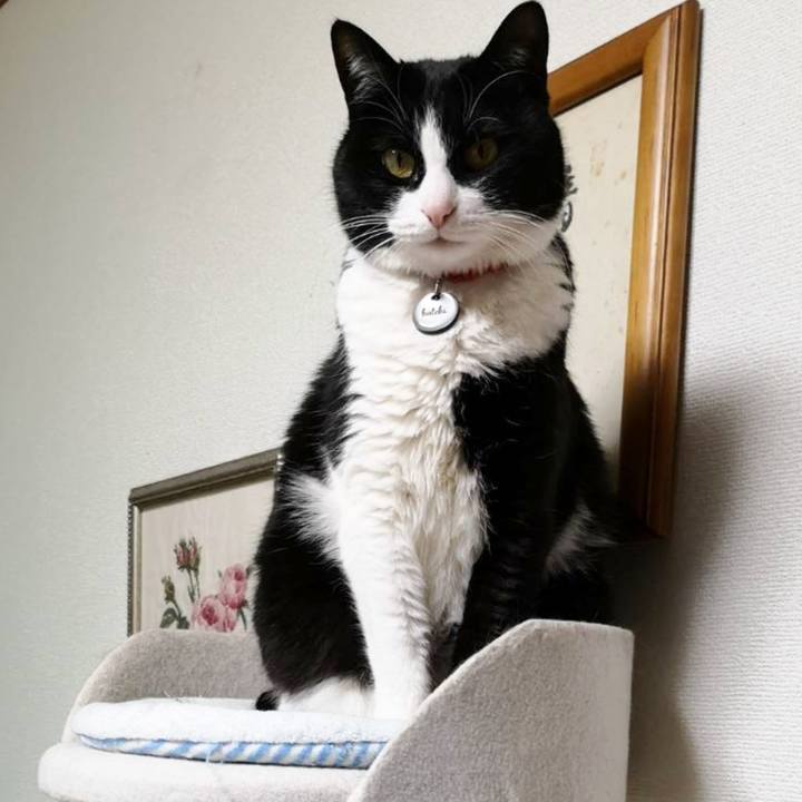 8291bf26 c589 4571 b758 e45881cd6208 1646193441401