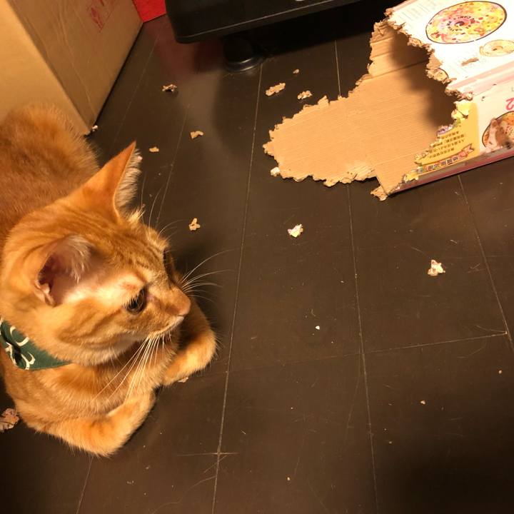 8291bf52 95ba 41a0 857a 1a1eddb94617 1634535131635