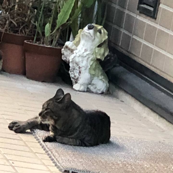 8291c767 1517 4541 8dad 1ffe8b19e4a0 1568789587929