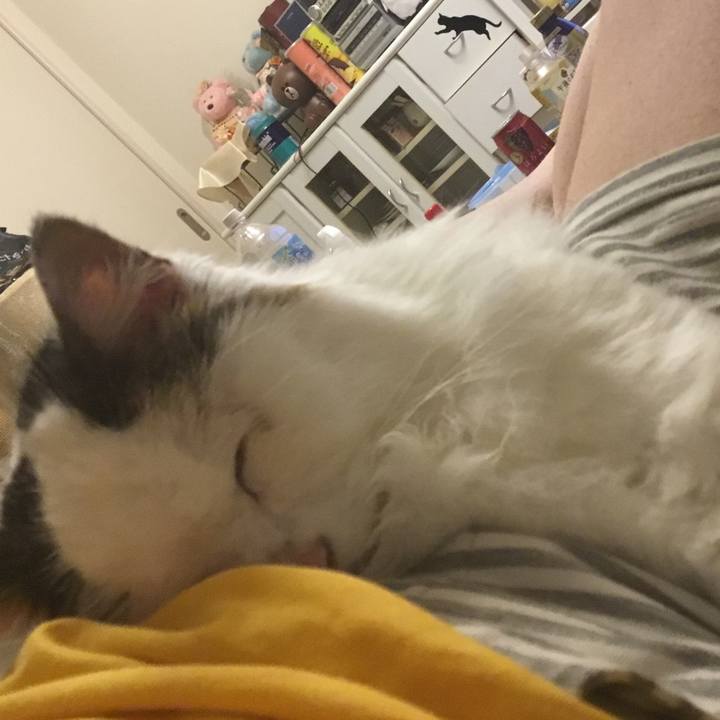 8291d047 9859 4c8b 983e 6fbedab877ef 1573182512592