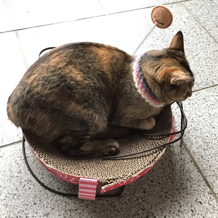 8291ef08 b16e 47c9 8e52 74dae7630b59 1621499502176