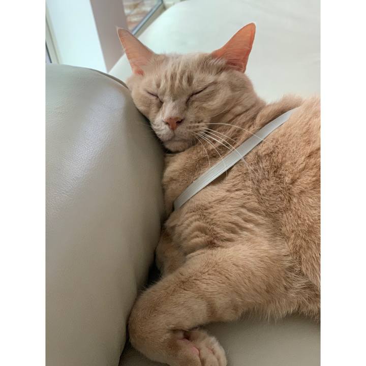 8291ff88 b80e 4d28 a537 1bdd40bcecea 1570833798875