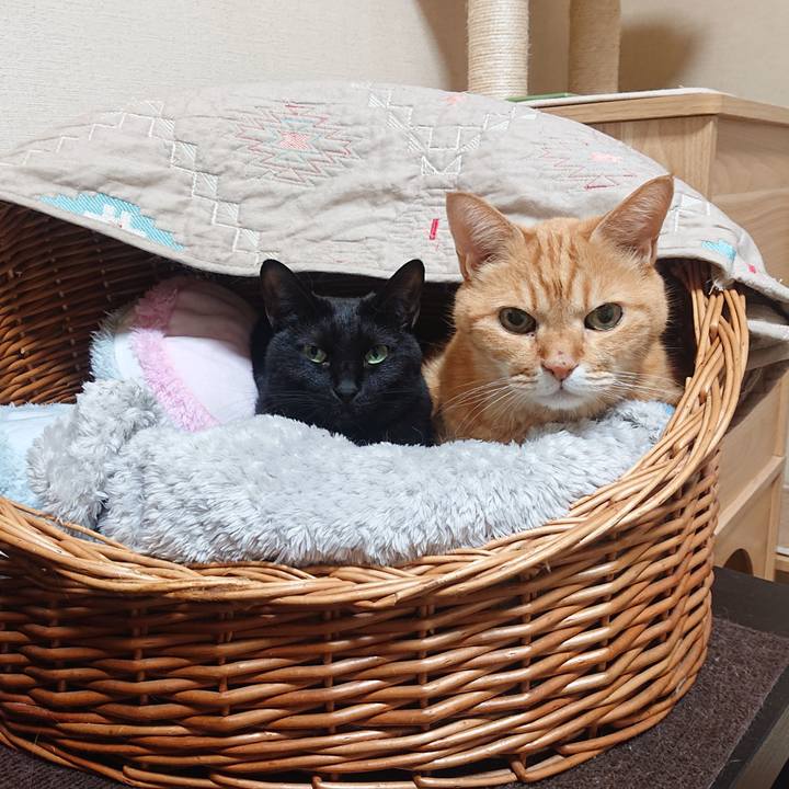 82922aa4 8849 42a6 aec0 05487a35a862 1698402225301