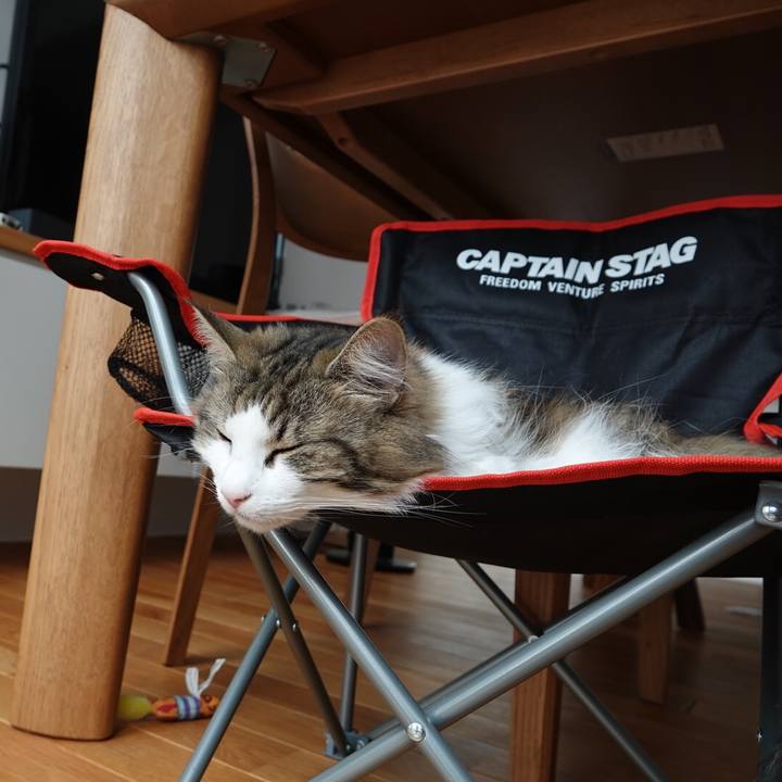 82925204 1bca 466f ae80 ff7cfadba707 1594181023007