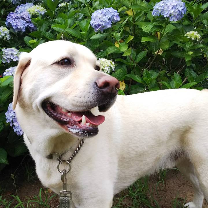 82927782 0e89 45d6 8caf 9642cc2e06f5 1561029137059