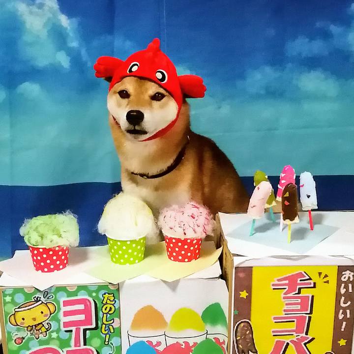 82928e6a 95ed 42dd 8ed1 c8e74ba55c8e 1597307598025