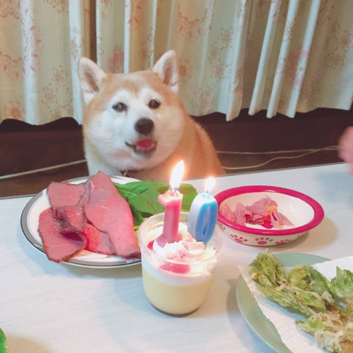 8292a2cf 4f4c 43de 9111 b1635cfd5539 1587556375519