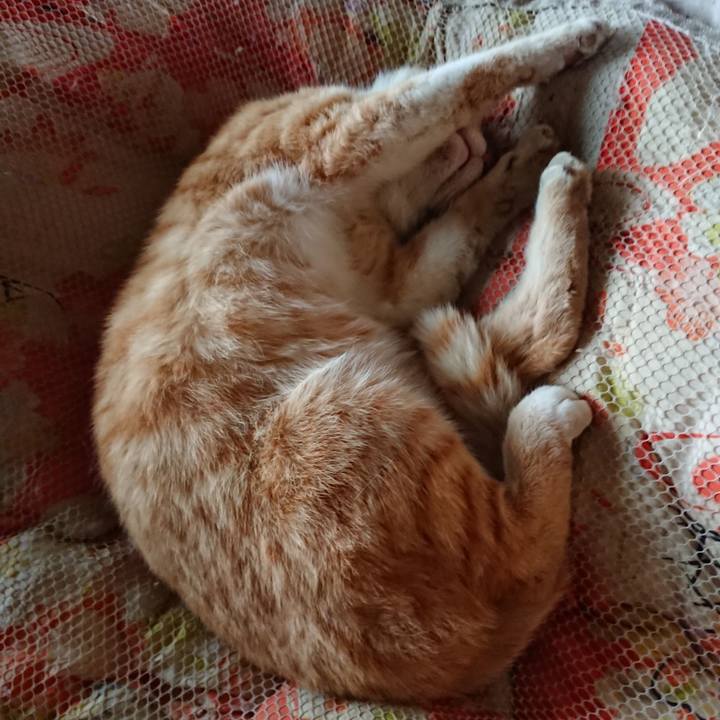 8292a77e e814 46b7 8d74 24adb8d5372b 1557111369898