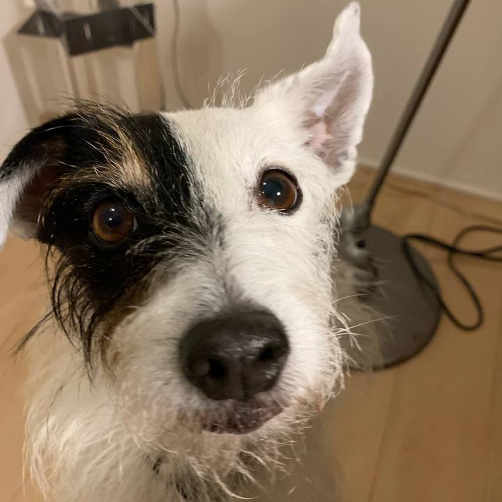 82935ad8 5bd8 4f03 989b a4b386f79704 1701772095121