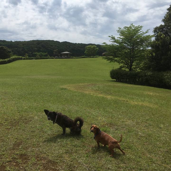 8293738e 292a 435e 8c23 163761600340 1528502331962