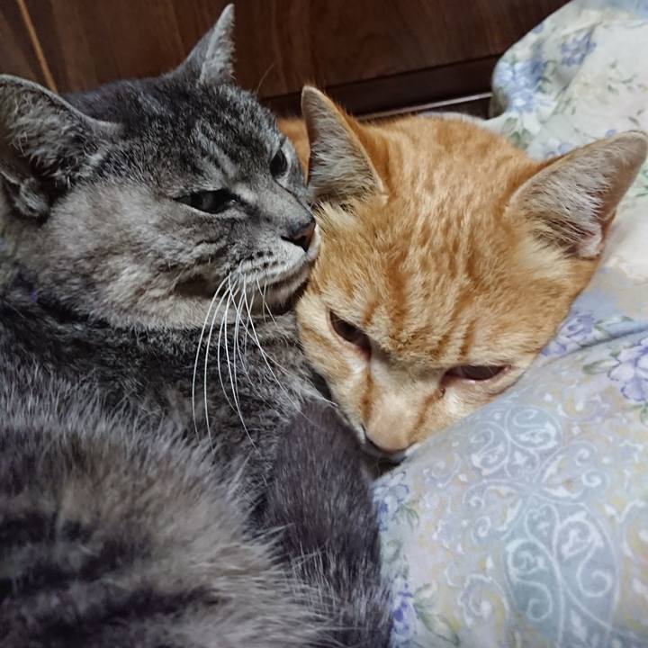 8293a822 853d 4bdf 93ac c3cb26b7b6e2 1583063292578