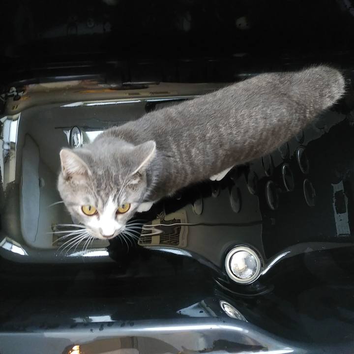 8293c005 067a 46e9 9b24 d74d4b3090df 1575596373633