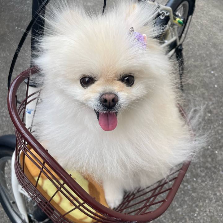 8293e15a 02d9 4584 a721 7b7682be7813 1719229559857