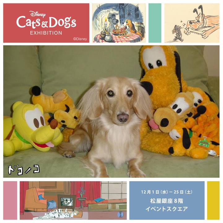 8293e1d5 3313 4b89 95fc e0605de638a7 1638434109883