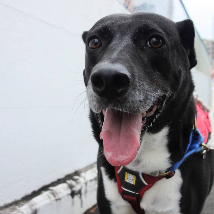 8293f2d1 dc7d 4f12 9fa9 34c7e27a548a 1665618680554