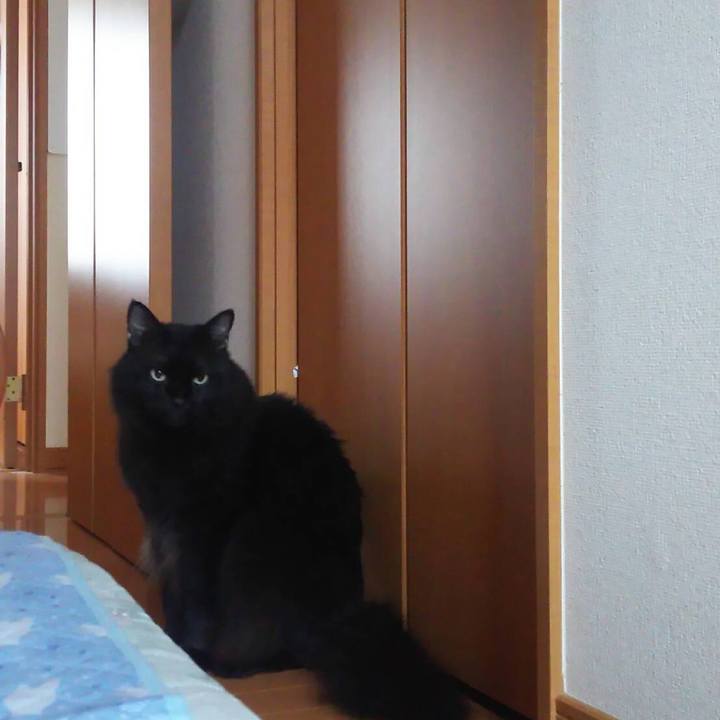 8293fed2 c6b6 49d7 89d4 5bf8b56a58a0 1564453228075