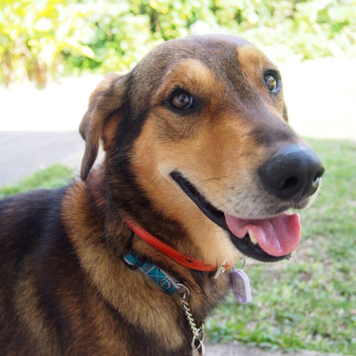 8294114a 7398 47da ac10 0dec2fdbf84a 1510991233895