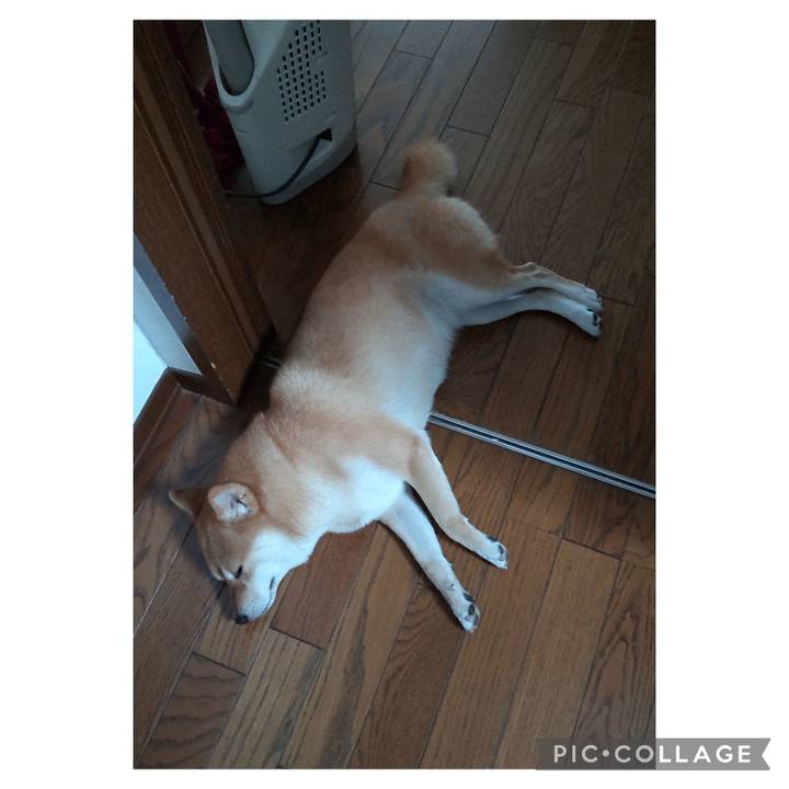 8294173b 7750 4ec3 bd0c c4a5dd97b02c 1695425685347