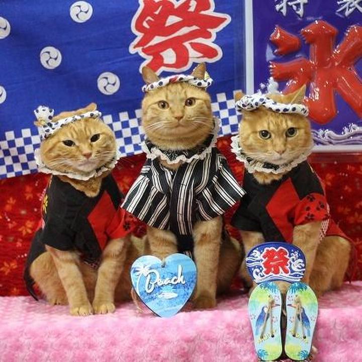 8294197a e6ec 4e88 8890 1ccf395bfec1 1596263899352