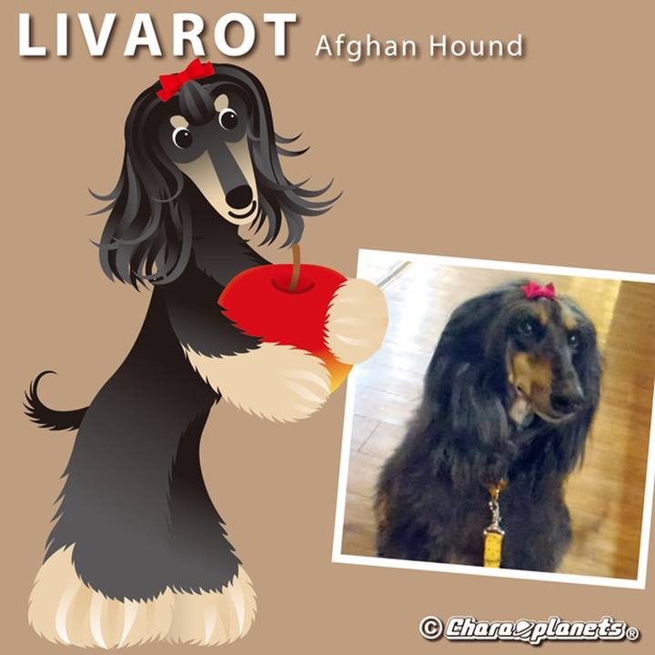 82945c06 06fd 42e5 aafb 84287f48e177 1566795396527