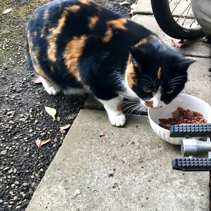 82945e04 5901 40ae b798 cfdfeb66ef0b 1513128507638