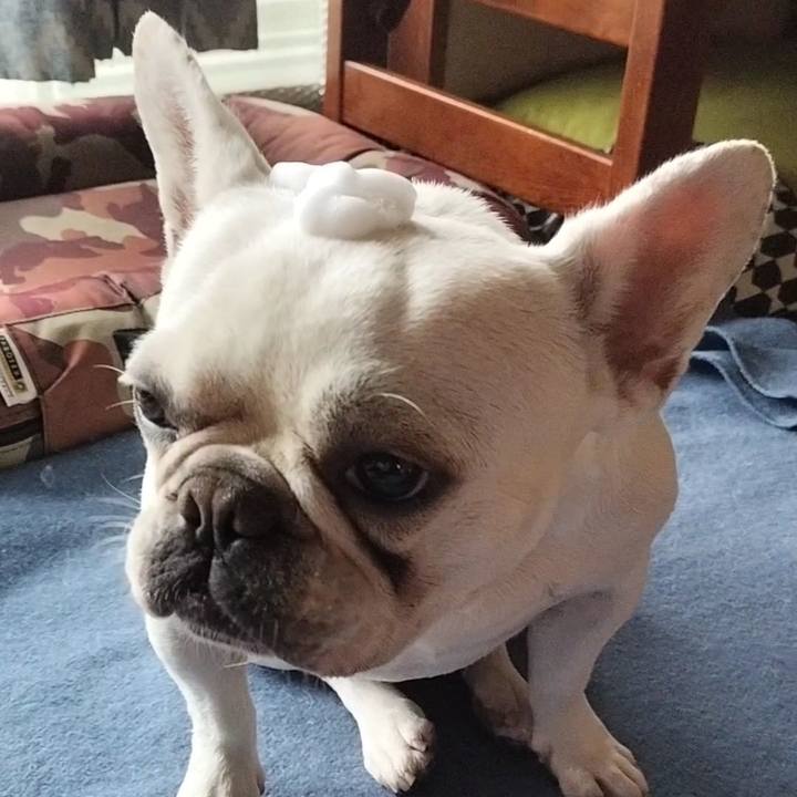 8294d653 c620 4016 abd3 c76e0256a26b 1686441522252