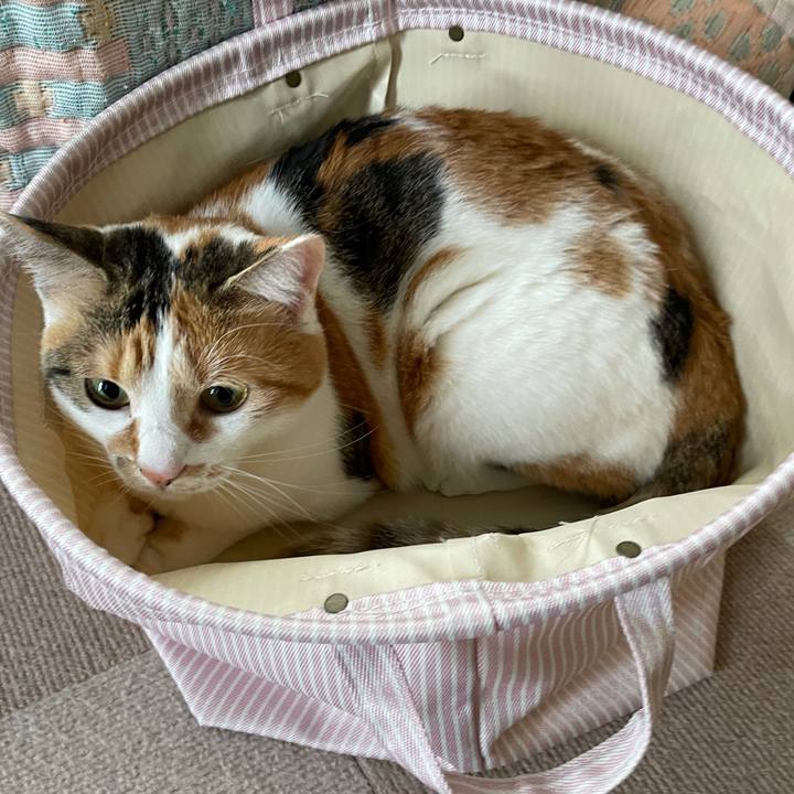 8294f953 0e5e 4ed7 98a9 a738a490ec87 1620258324998