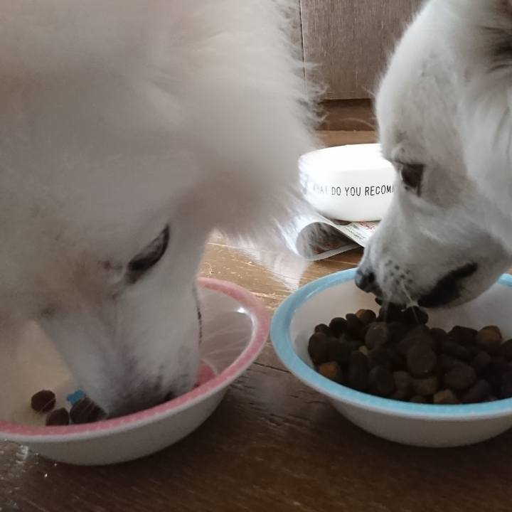 829501ff 3ec9 44bf 8b71 d5f0b1e4df56 1573959225895