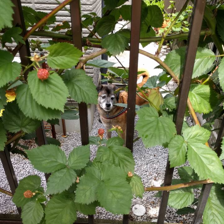 829571cd 9909 472a 934b 6cb1313df605 1528848984646