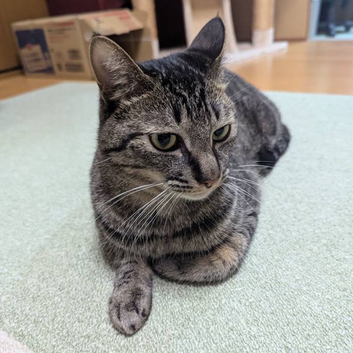 8295a115 c8cb 4ae6 910a e6b6514f8557 1748412264411