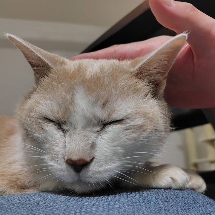 8295b295 c2b0 428d 9d7d dccce8ea04d0 1721999605065