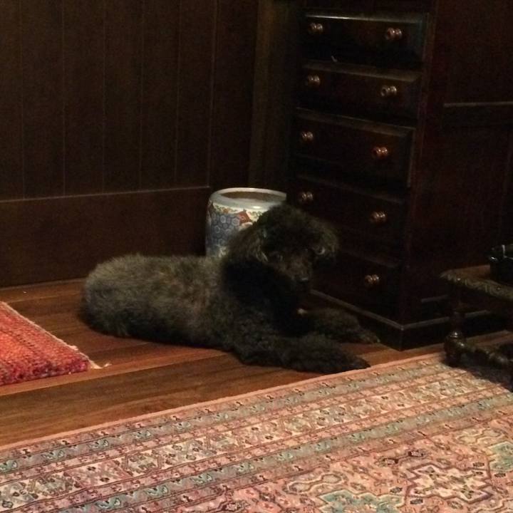 8295f372 bc3d 42d9 a631 c88f63ef3090 1566371740092