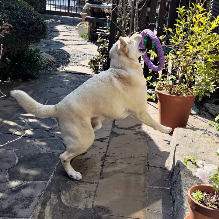 8295fb73 a231 4b0d a7f3 39a8eb3ba905 1646159032264