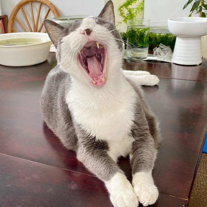 82960abc 9fe6 4ab3 ba6f 19c03abf6dd5 1757740222671