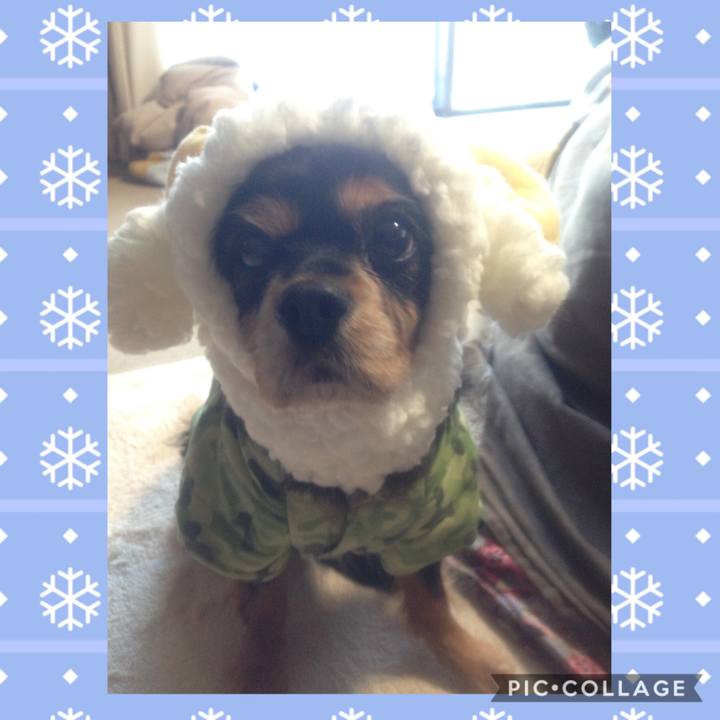 829632ca 5a93 460d bff4 94f534f9da5e 1573478861414