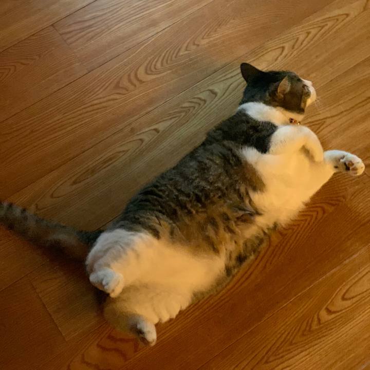 82966b94 f231 44ce 8108 55785db23bb2 1653956790917